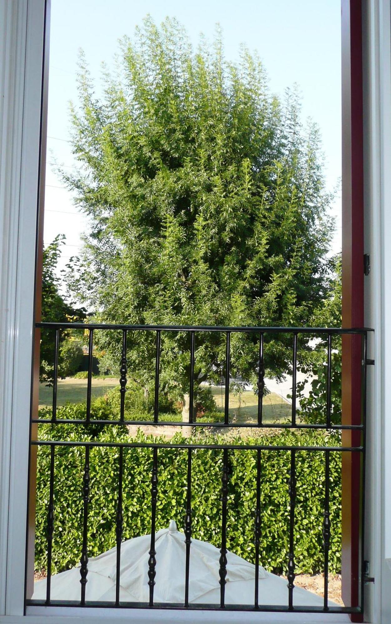 Agriturismo Campoverde Camponogara Bagian luar foto